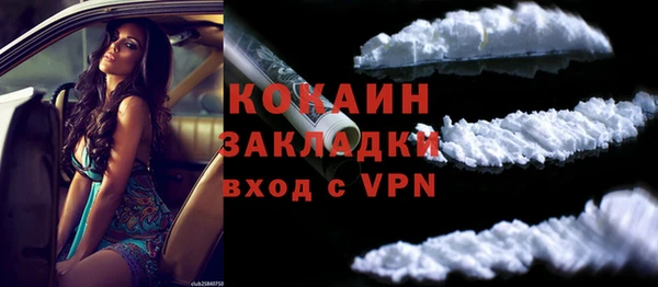 тгк Пересвет