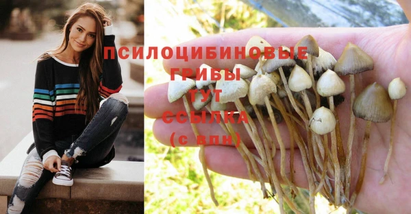 мяу мяу кристалл Осташков
