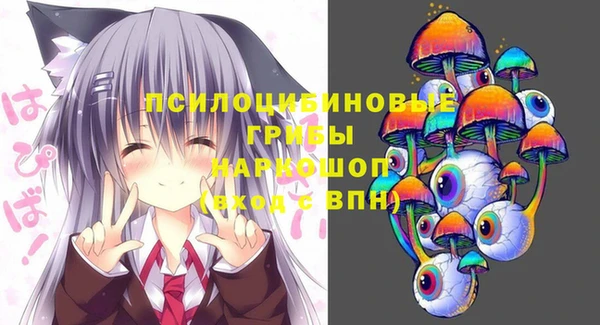 дмт Весьегонск