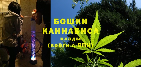 амф Пестово