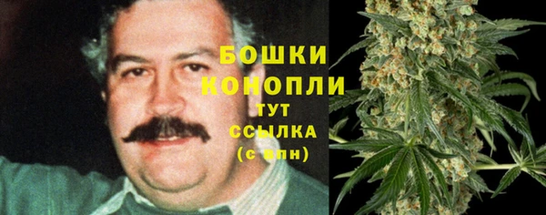 дмт Покровск