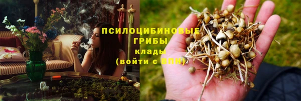 амф Пестово