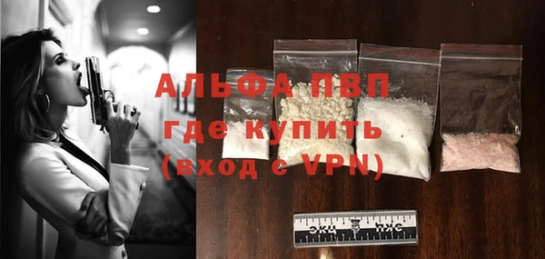 амф Пестово